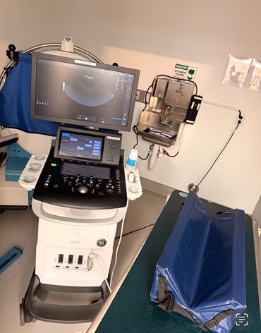 ultrasound